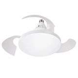  Vendita ZENCOCCO Mini ventilatori 