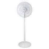  Vendita ARGO Ventilatori a piantana 
